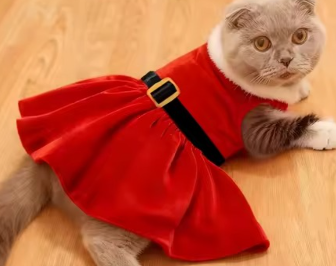 Pet Christmas outfits (Private Lisitng U5152915)